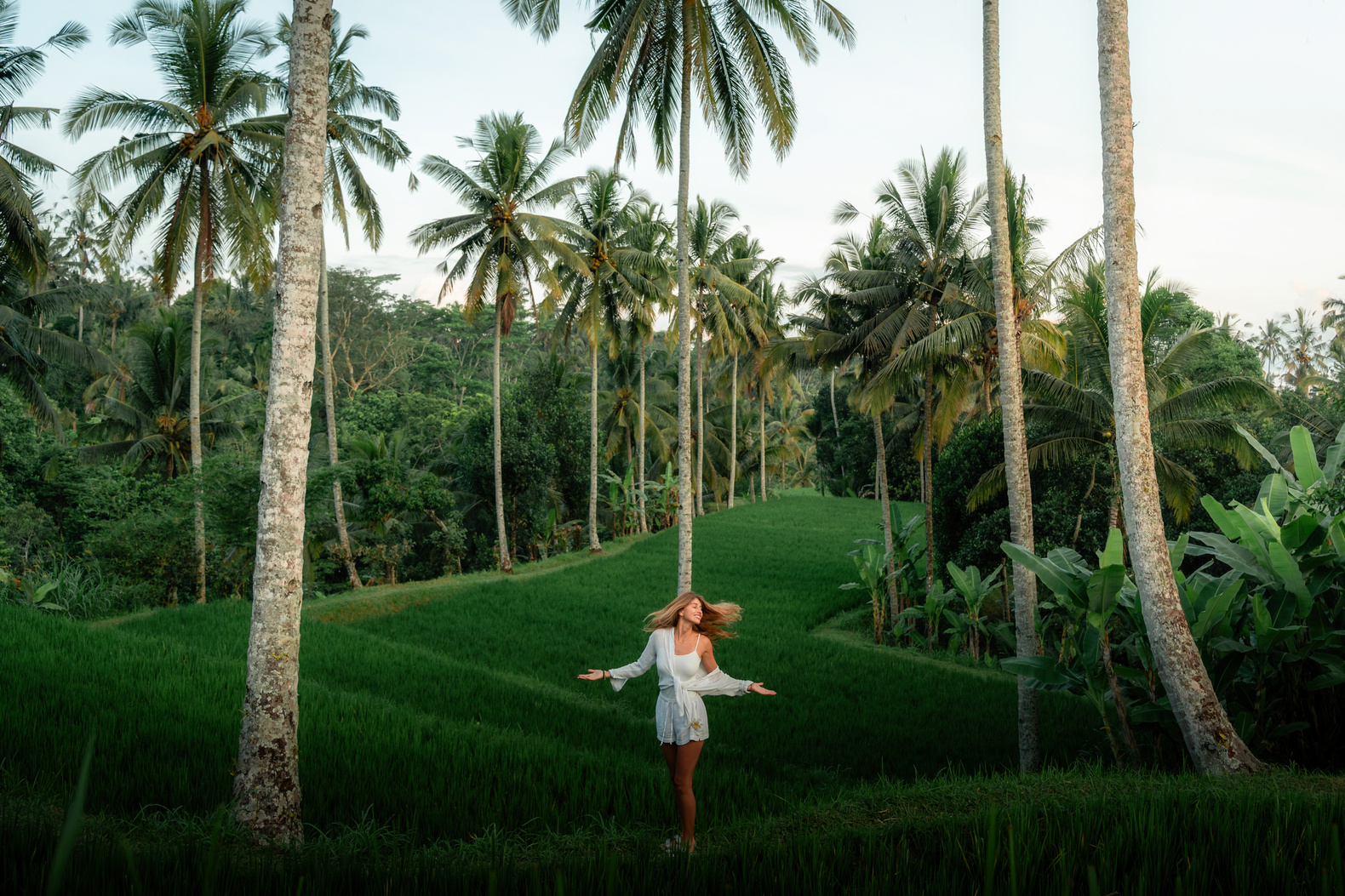 Hanging Garden — Felgra Photography