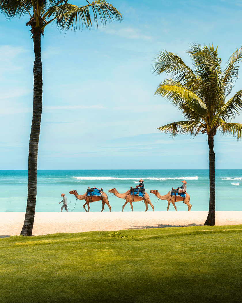 Ritz-Carlton — Felgra Photography